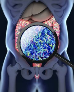 3D illustration depicts gut bacteria through magnifying glass