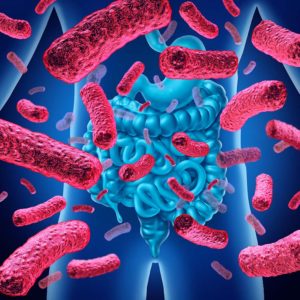 3D illustration of intestinal bacteria