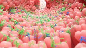 Human microbiome inside intestine